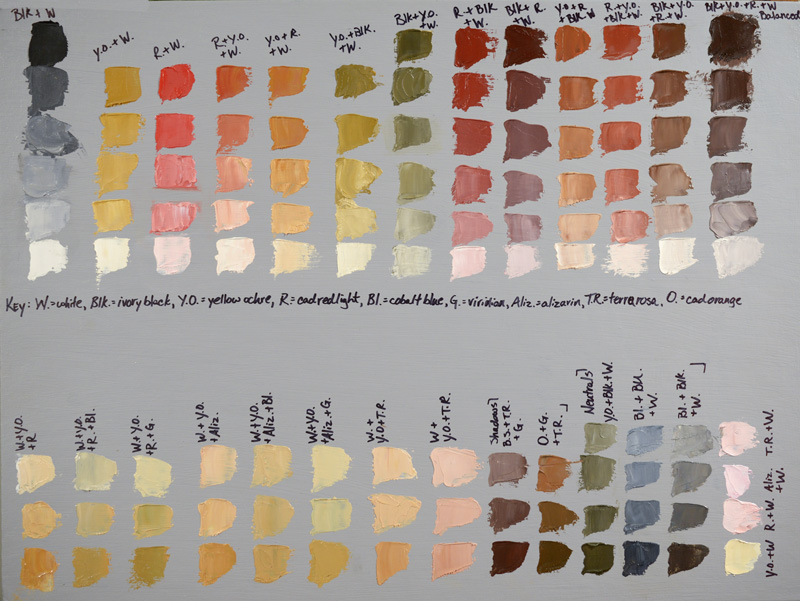 Skin Tone Chart For Artists